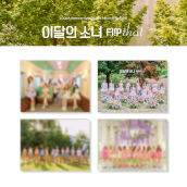Summer special mini album